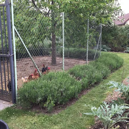 Rue De La Gare Semesterbostad Prouzel