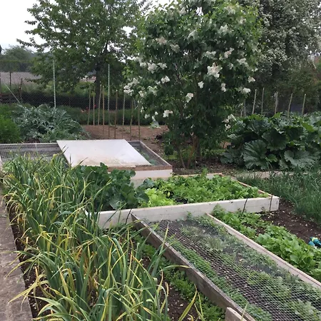 Vakantiehuis Rue De La Gare