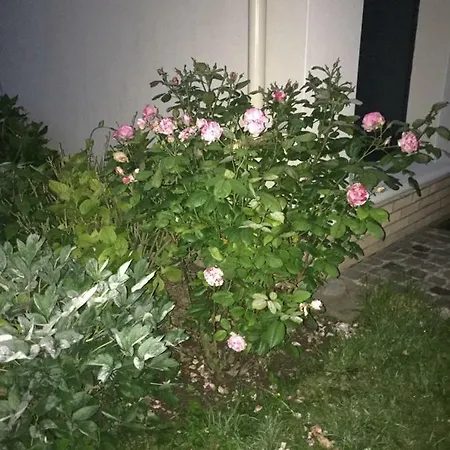 Rue De La Gare Prouzel